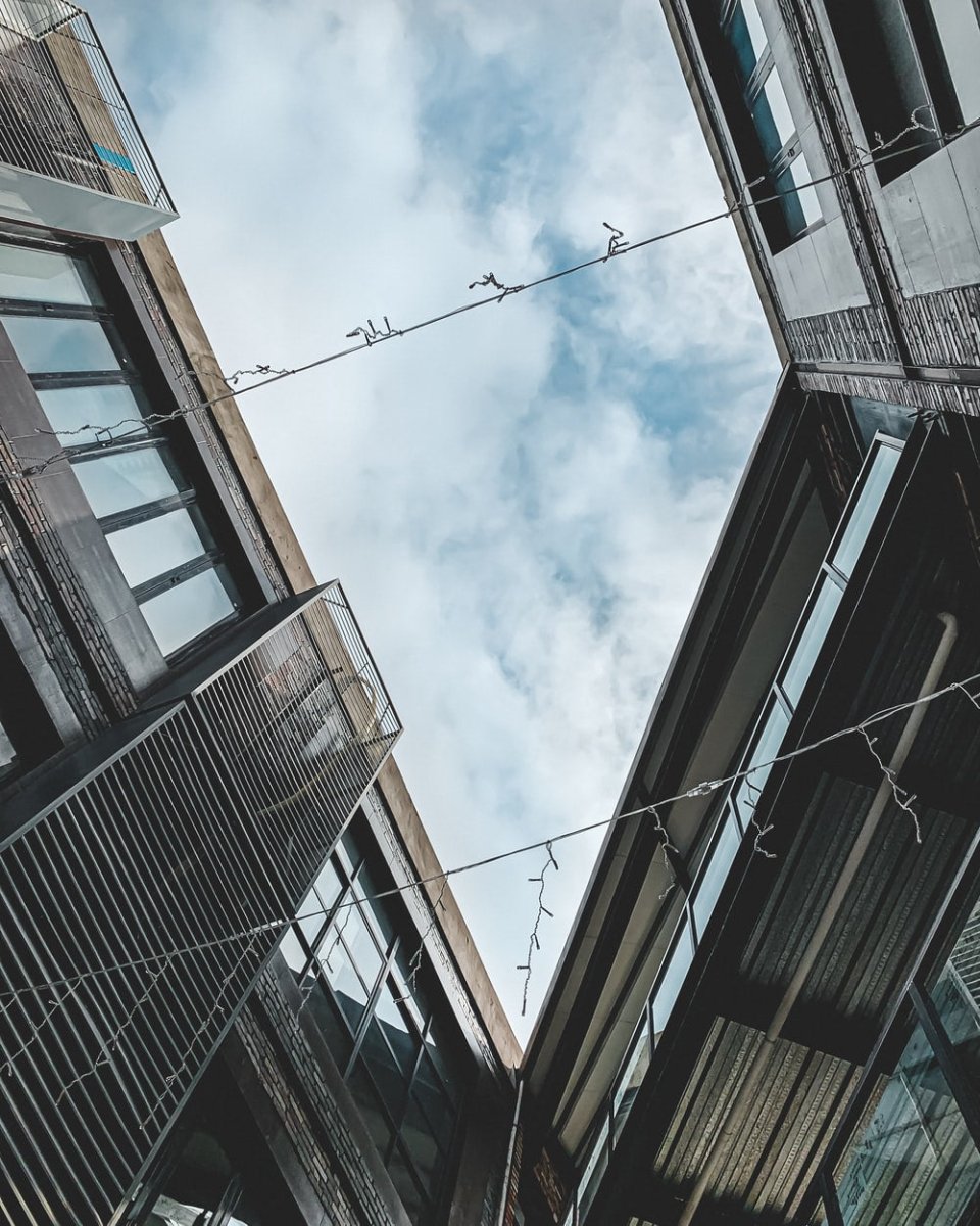 Paint By Numbers | Dongguan - Black And White Bird Flying Over The Building During Daytime - Custom Paint By Numbers