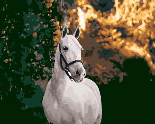 Paint By Numbers | Horse - White Horse Standing Near Plant - Custom Paint By Numbers
