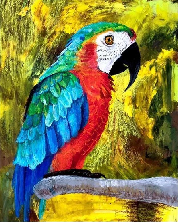 Paint By Numbers | Parrots - Custom Paint By Numbers