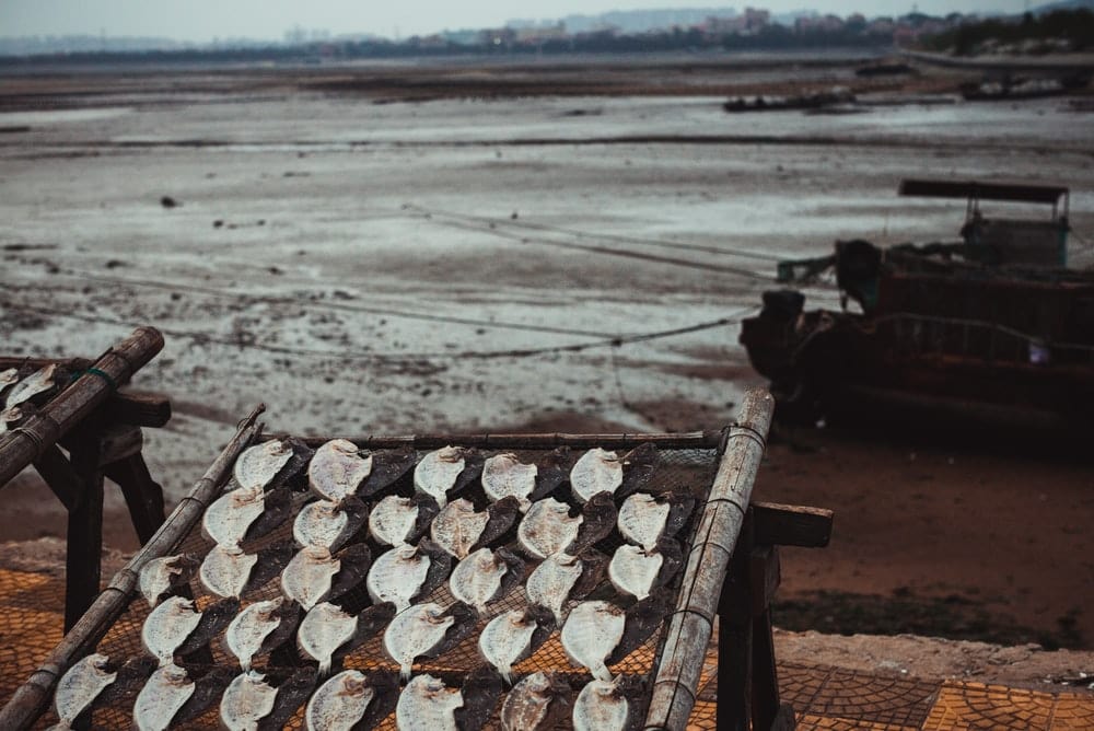 Paint By Numbers | Quanzhou - Black And White Wooden Fence - Custom Paint By Numbers