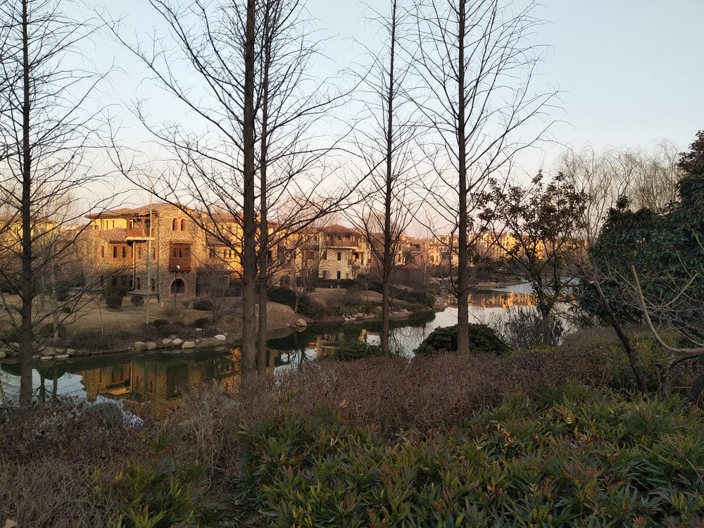 Paint By Numbers | Zhengzhou - Brown Bare Trees Near Brown Concrete Building During Daytime - Custom Paint By Numbers