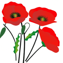 Coquelicot Color, Meaning, And History - Custom Paint By Numbers