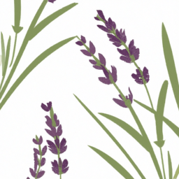 English Lavender Color, Meaning, And History - Custom Paint By Numbers