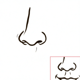 How To Draw A Cartoon-Nose - A Step By Step Drawing Guide - Custom Paint By Numbers