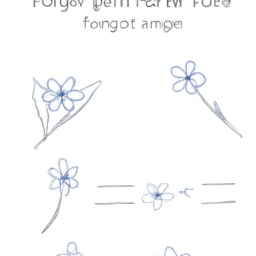 How To Draw A Forget-Me-Not - A Step By Step Drawing Guide – Custom ...