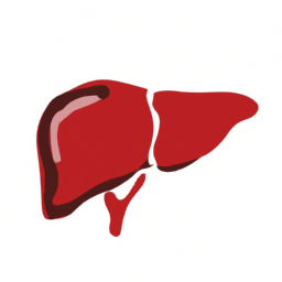 Liver (Organ) Color, Meaning, And History - Custom Paint By Numbers