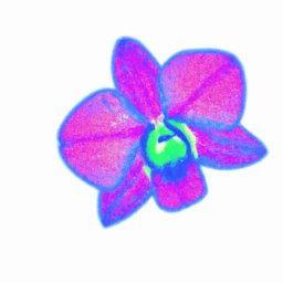 Orchid (Crayola) Color, Meaning, And History - Custom Paint By Numbers