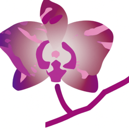 Orchid Pink Color, Meaning, And History - Custom Paint By Numbers