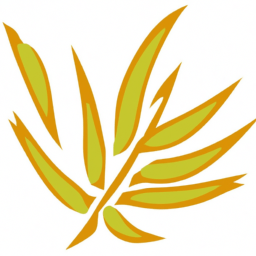 What Color Does Amazon And Corn Make? - Custom Paint By Numbers