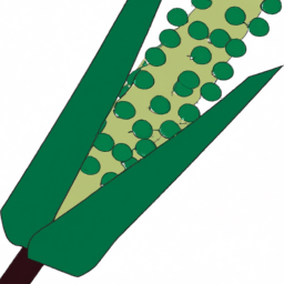 What Color Does Aquamarine And Corn Make? - Custom Paint By Numbers