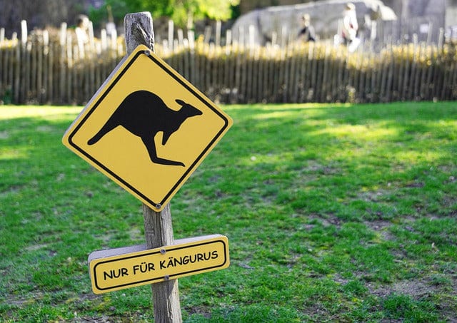 Kangaroo Sign Prohibitory Paint By Number Kit - Custom Paint By Numbers