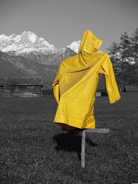 Meadow Yellow A Raincoat Paint By Number Kit - Custom Paint By Numbers