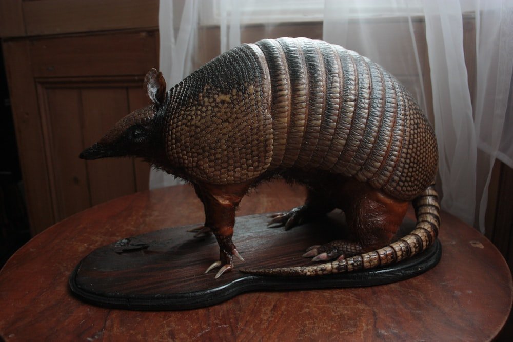 Paint By Numbers | Armadillo - Brown Wooden Elephant Figurine On Black Table - Custom Paint By Numbers