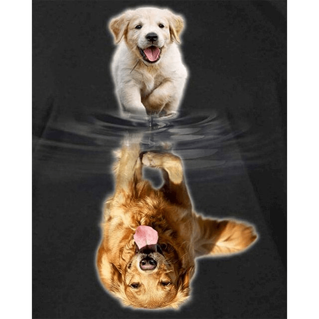 Paint By Numbers | Baby Golden Retriever Reflection - Custom Paint By Numbers