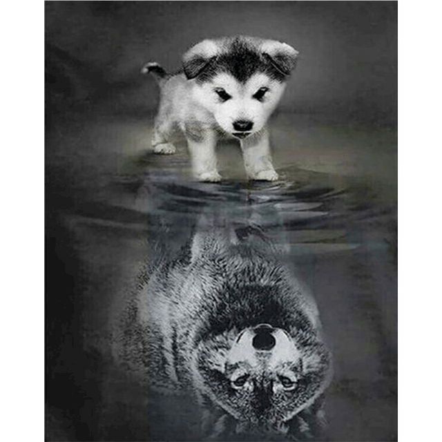 Paint By Numbers | Baby Siberian Husky Reflection - Custom Paint By Numbers
