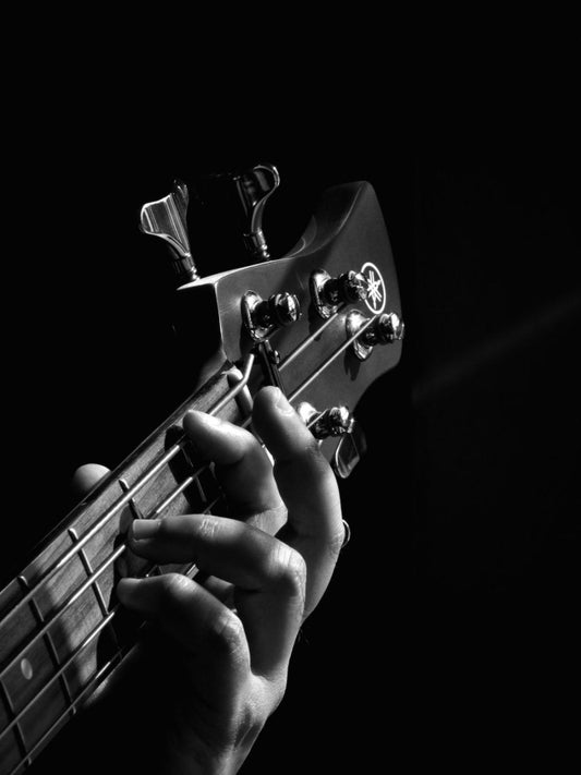 Paint By Numbers | Bass - Person Playing Guitar Grayscale Photo - Custom Paint By Numbers