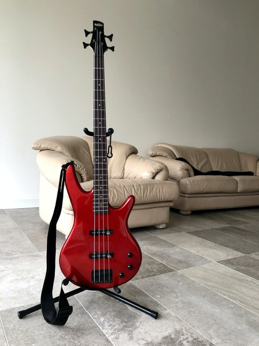 Paint By Numbers | Bass - Red Electric Guitar On Black Steel Stand - Custom Paint By Numbers