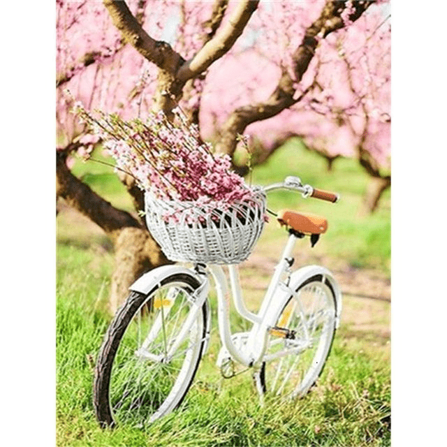 Paint By Numbers | Cherry Blossom and White Bicycle - Custom Paint By Numbers