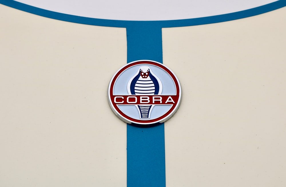 Paint By Numbers | Cobra - Round Silver-Colored Cobra Emblem - Custom Paint By Numbers