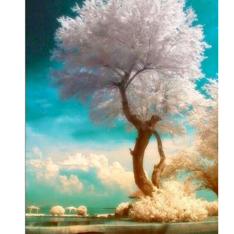 Paint By Numbers | Dreamy Cloud Tree - Custom Paint By Numbers