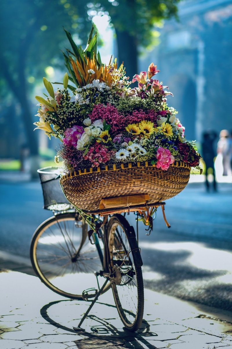 Paint By Numbers | Hanoi - Flowers In Brown Woven Basket On Bicycle - Custom Paint By Numbers