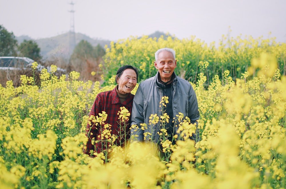 Paint By Numbers | Ji’An - Man And Woman Standing Surrounded By Yellow Flowers - Custom Paint By Numbers