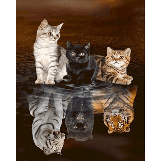 Paint By Numbers | Kittens Big Reflections 2 - Custom Paint By Numbers