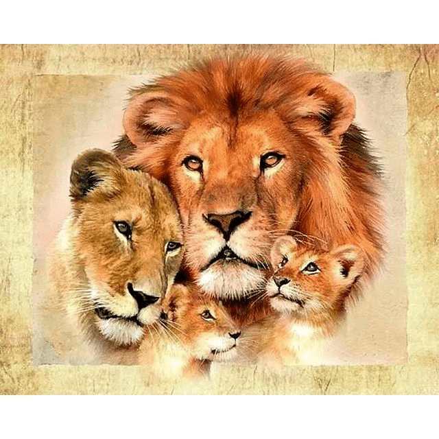 Paint By Numbers | Lion Family - Custom Paint By Numbers