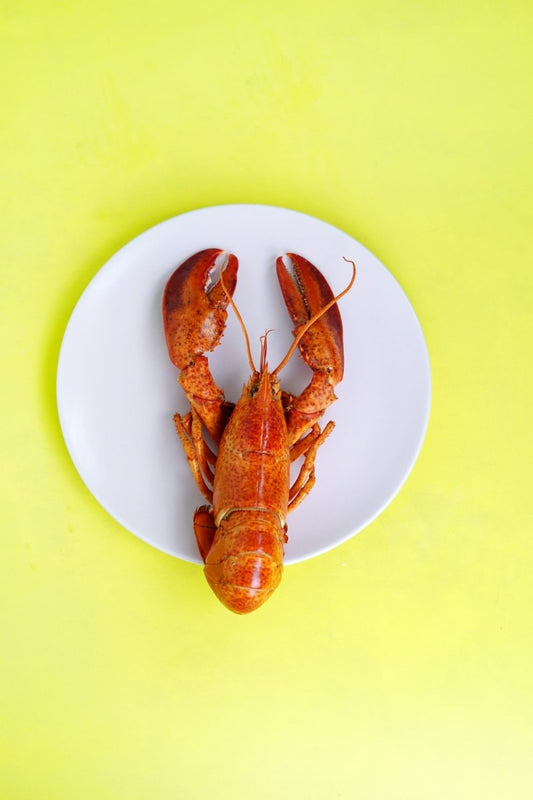 Paint By Numbers | Lobster - Lobster On White Saucer - Custom Paint By Numbers