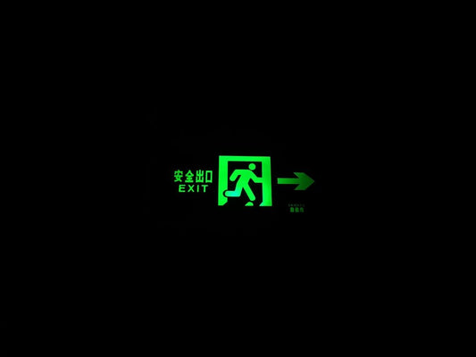 Paint By Numbers | Mianyang - Green Exit Sign - Custom Paint By Numbers