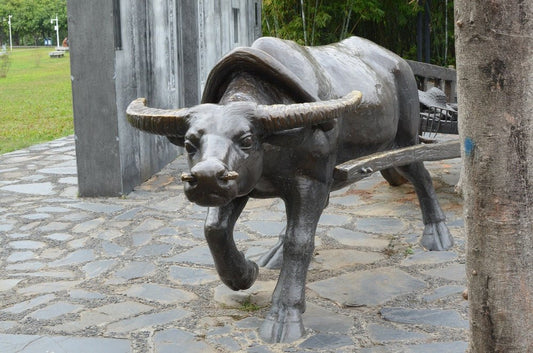 Paint By Numbers | Ox - Black Water Buffalo Statue On Gray Concrete Floor - Custom Paint By Numbers