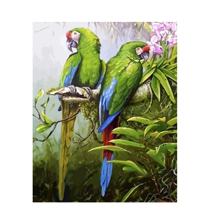 Paint By Numbers | Parrots - Custom Paint By Numbers