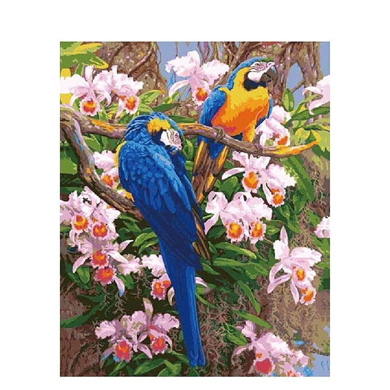 Paint By Numbers | Parrots - Custom Paint By Numbers