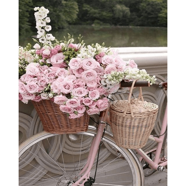 Paint By Numbers | Pink Roses in Bike - Custom Paint By Numbers