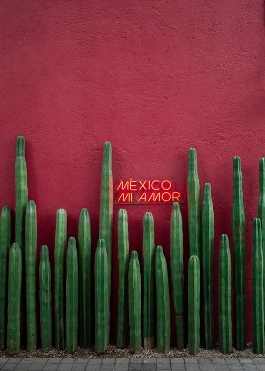 Paint By Numbers | Red Painted Wall With Green Cactus Plants - Custom Paint By Numbers