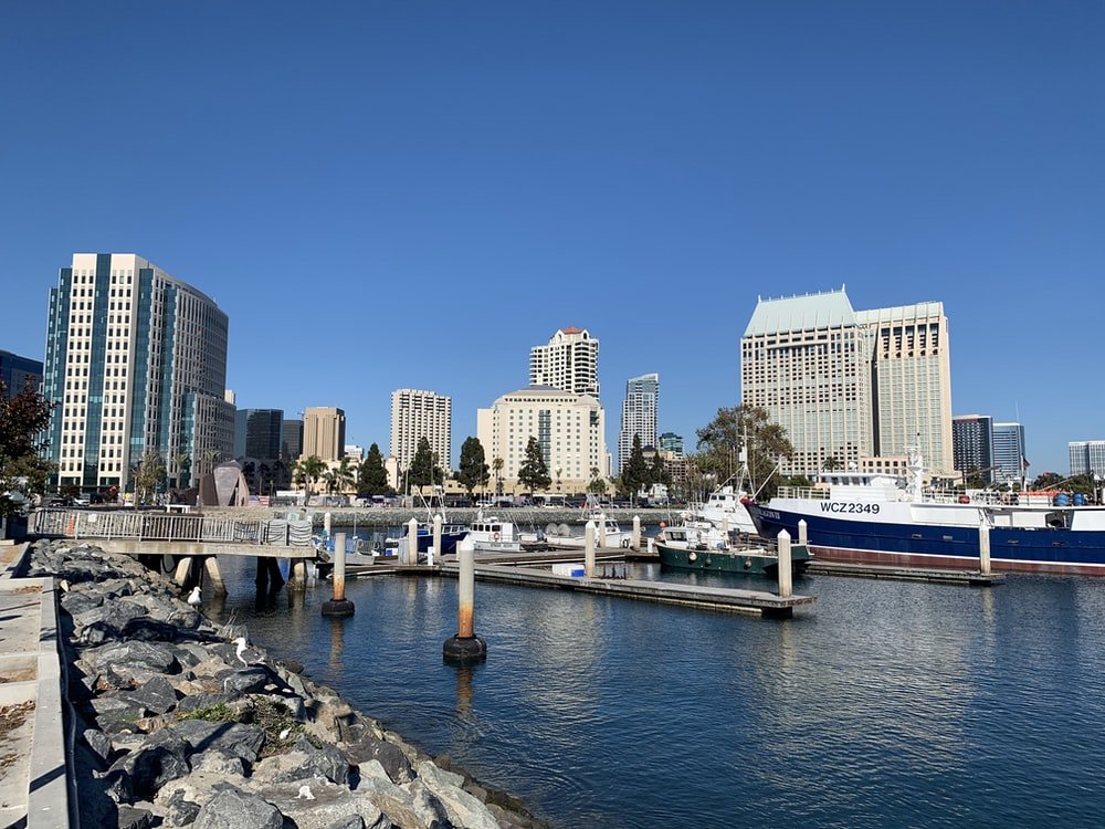 Paint By Numbers | San Diego - White And Blue Boat On Sea Near City Buildings During Daytime - Custom Paint By Numbers
