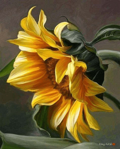 Paint By Numbers | Sunflower Portrait - Custom Paint By Numbers