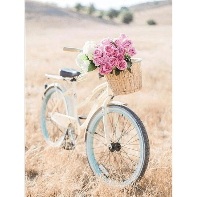 Paint By Numbers | Vintage Bicycle and Roses - Custom Paint By Numbers