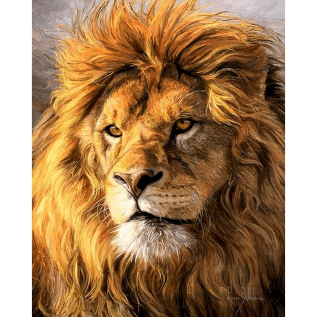 Paint By Numbers | Watchful Look of Lion - Custom Paint By Numbers