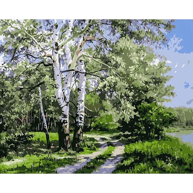 Paint By Numbers | White Birch Tree - Custom Paint By Numbers