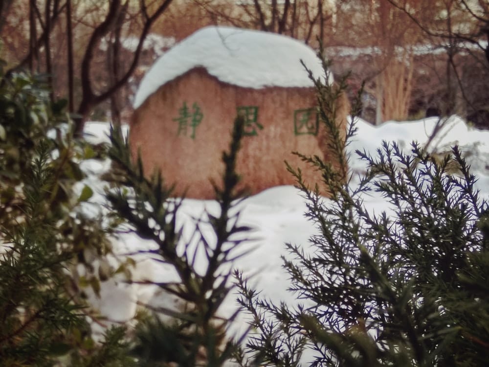 Paint By Numbers | Xinyang - Snow Covered Wooden House Surrounded By Trees - Custom Paint By Numbers