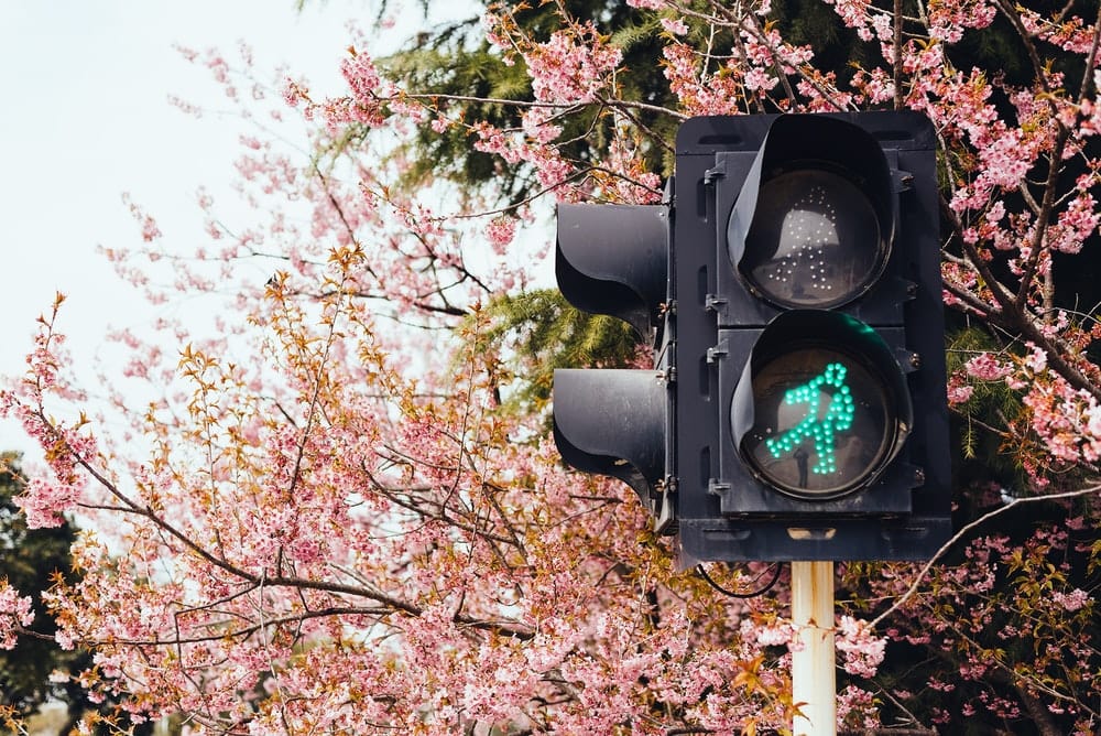 Paint By Numbers | Yangzhou - Black Traffic Light On Green Light - Custom Paint By Numbers