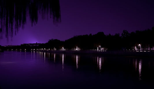 Paint By Numbers | Yangzhou - Lighted Buildings Near Body Of Water At Night - Custom Paint By Numbers