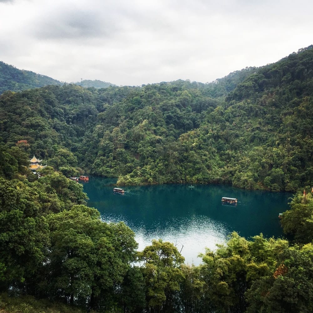 Paint By Numbers | Zhaoqing - Green Trees Near Body Of Water - Custom Paint By Numbers