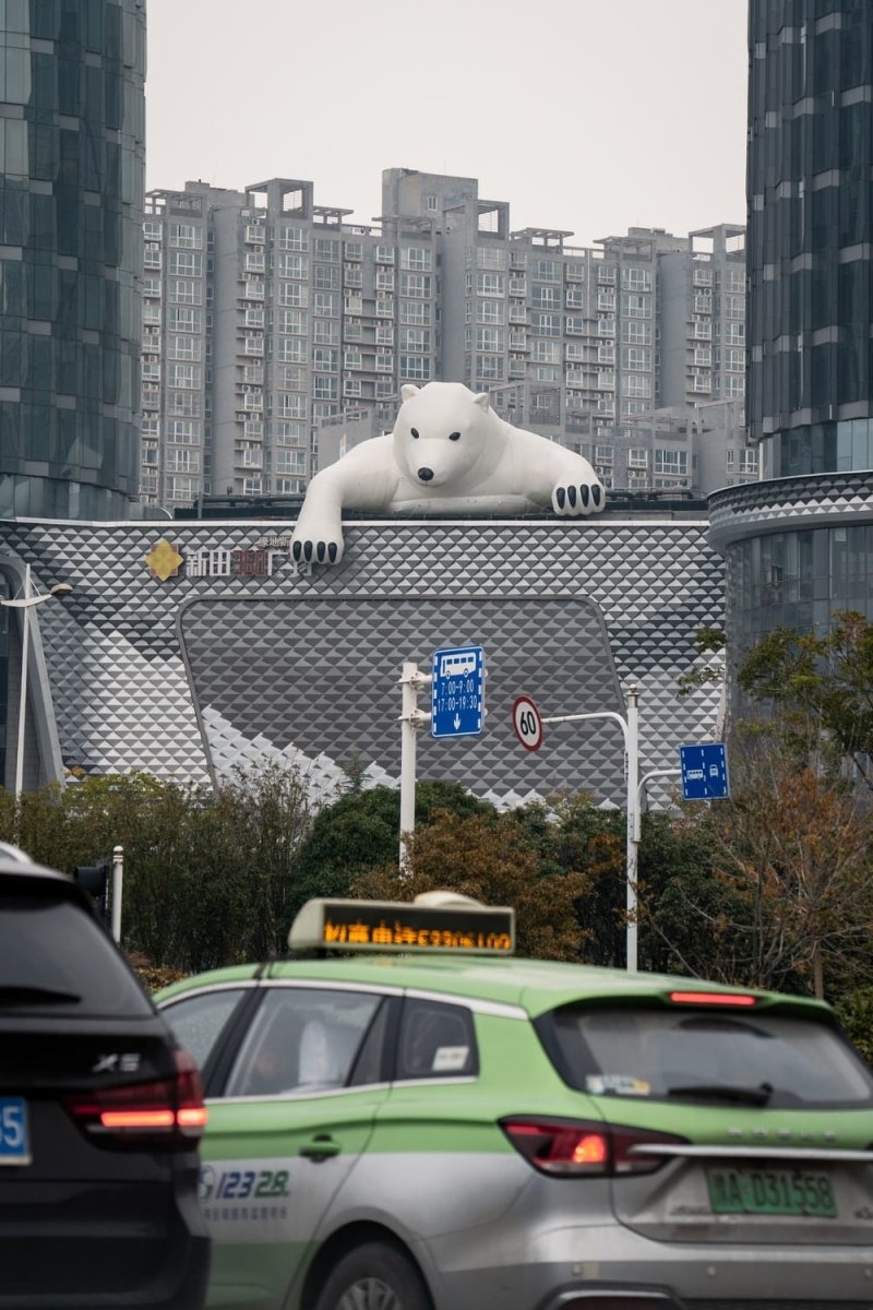 Paint By Numbers | Zhengzhou - White Polar Bear On Gray Metal Fence - Custom Paint By Numbers