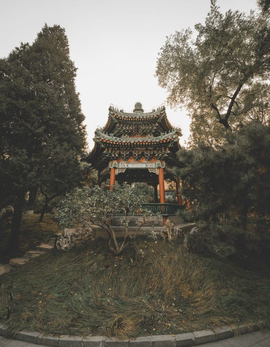 Paint By Numbers | Zhongshan - Temple Surrounded With Trees - Custom Paint By Numbers