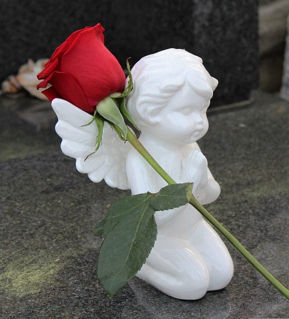 Stop Children Suicide Angel Red Rose Paint By Number Kit - Custom Paint By Numbers